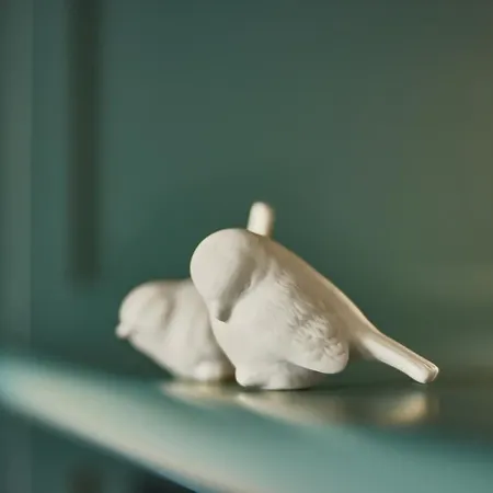 The July - Boat & Co Amszterdam